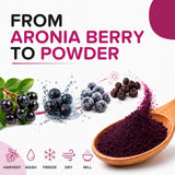 b aronia mano sosteniendo polvo enfatizando envío cómodo y puro