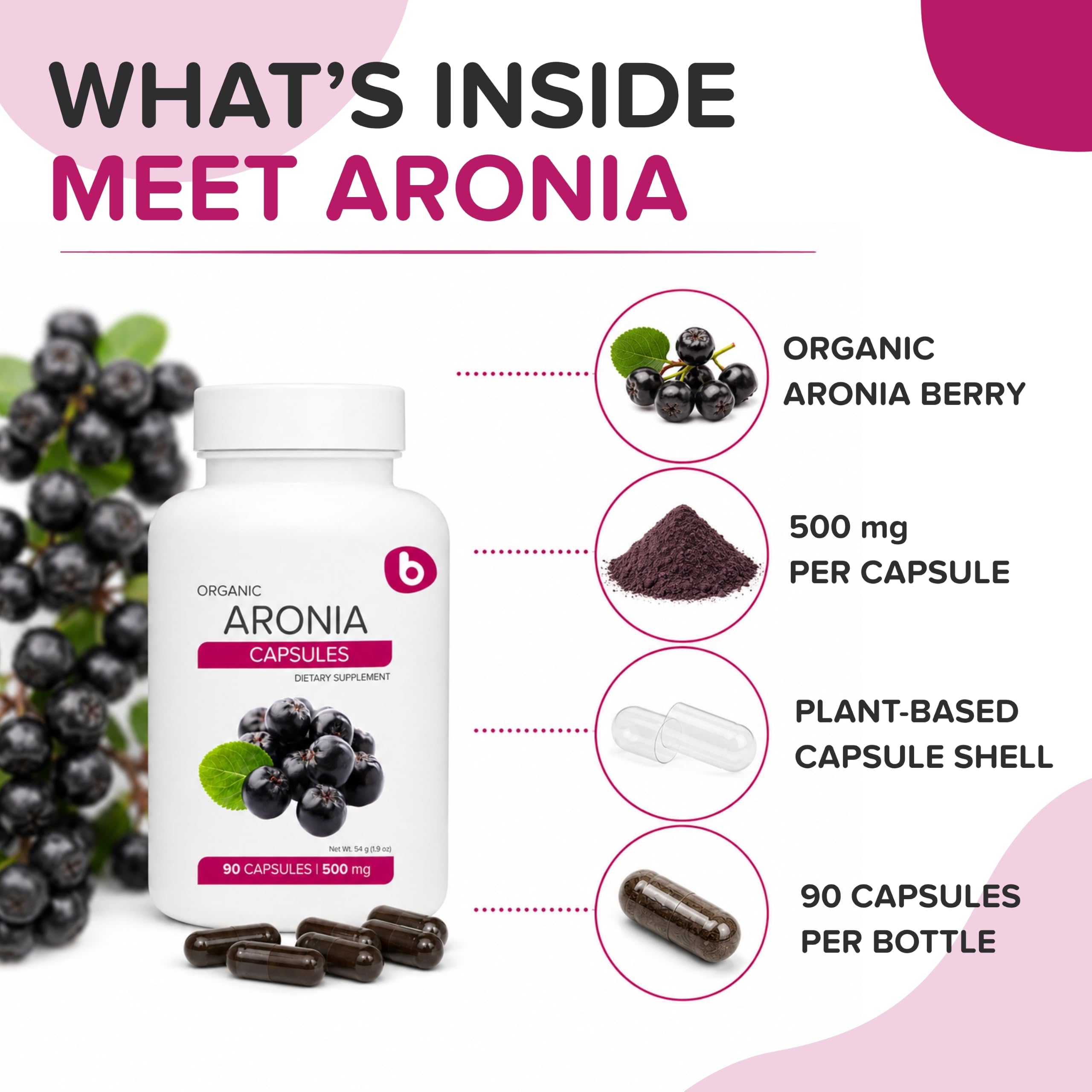 b polvo de aronia en primer plano, muestra la textura rica en nutrientes