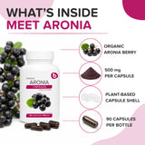 b polvo de aronia en primer plano, muestra la textura rica en nutrientes