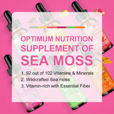 B BEWORTHS ingredientes naturales dispuestos junto al frasco, refuerzo nutricional
