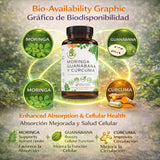 B-Experts moringa, guanábana y cúrcuma juntos mostrando ingredientes clave