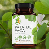 B-Experts plantación orgánica de Pata de Vaca mostrando origen