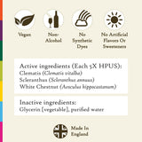 Bach Flower Remedies escenario en hogar favoreciendo concentración y calma