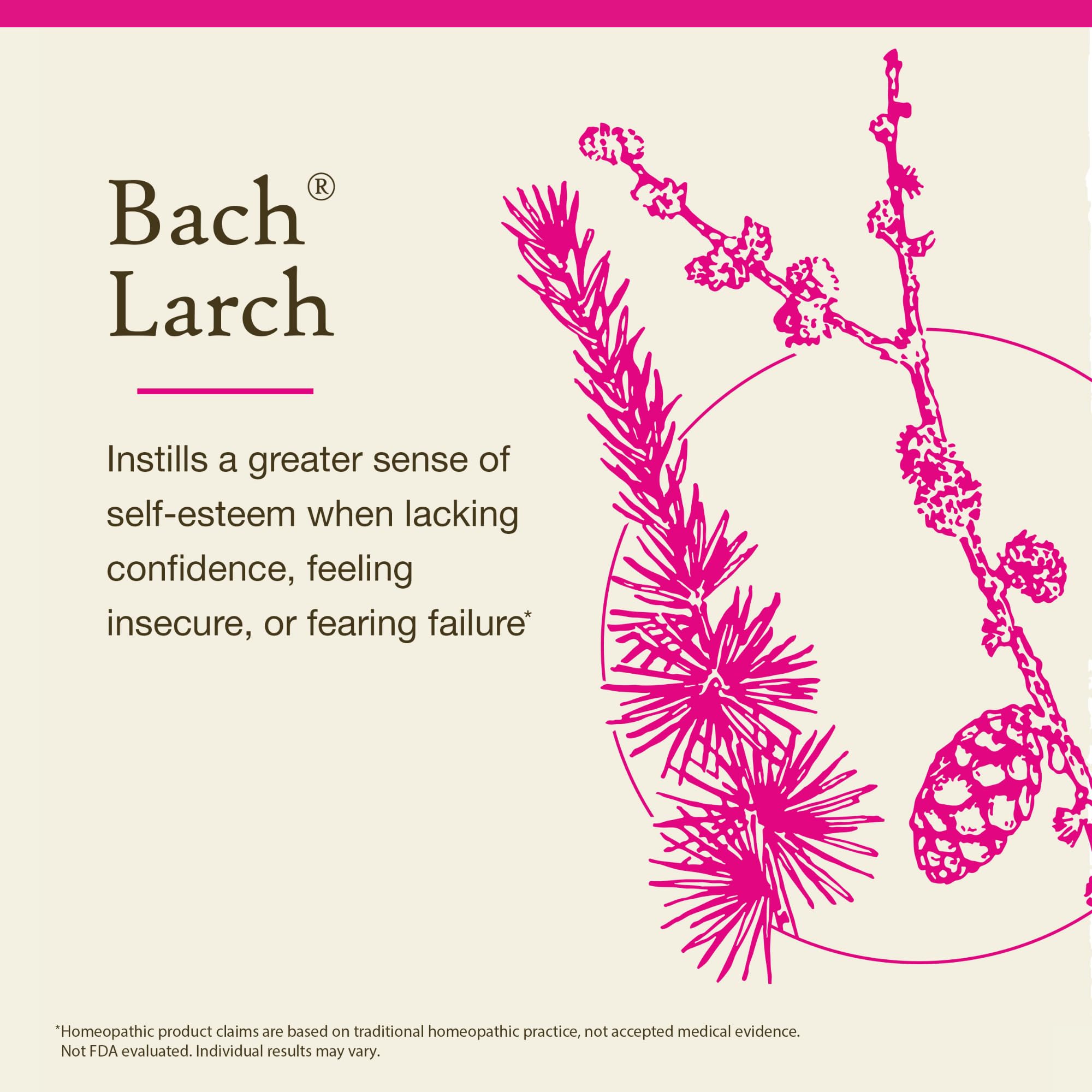 Bach Larch gotas sobre la mano, textura clara y aplicación sencilla