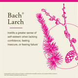 Bach Larch gotas sobre la mano, textura clara y aplicación sencilla