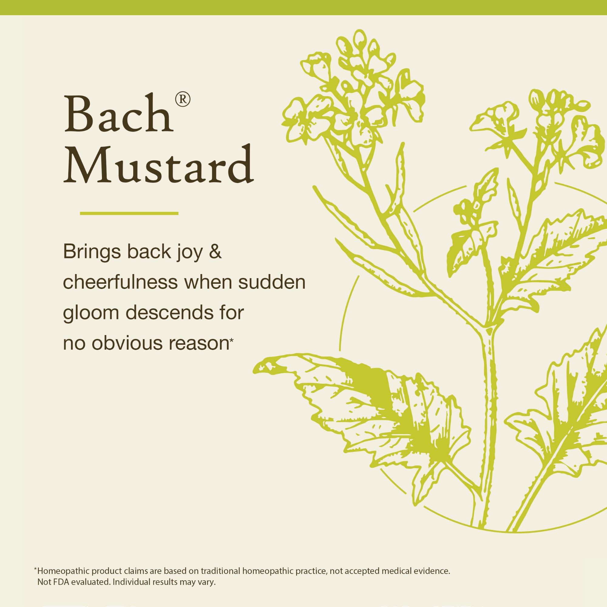Bach Mustard textura de gotas en cuentagotas indicando uso fácil y controlado