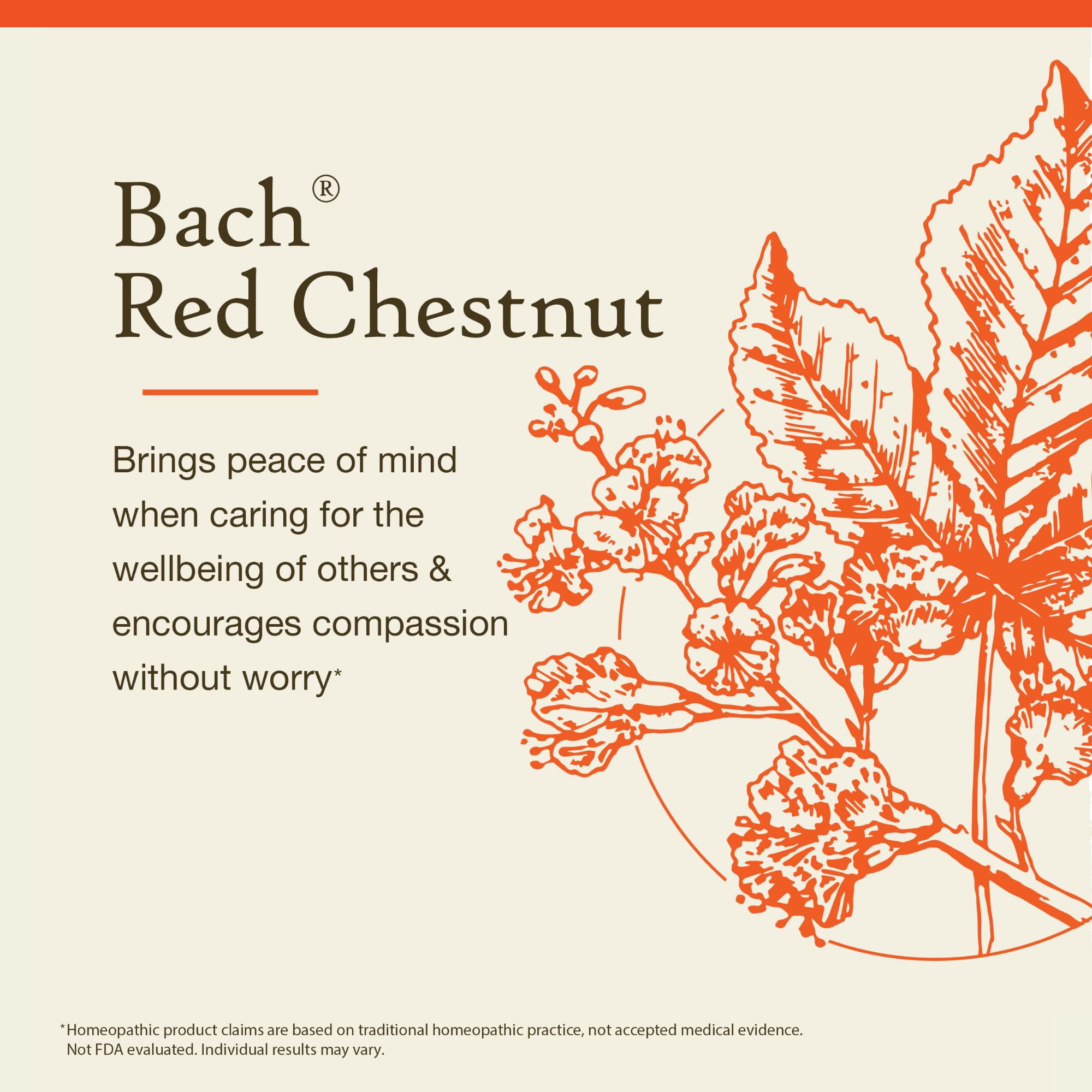 Bach Red Chestnut gota en primer plano, evidencia pureza y textura