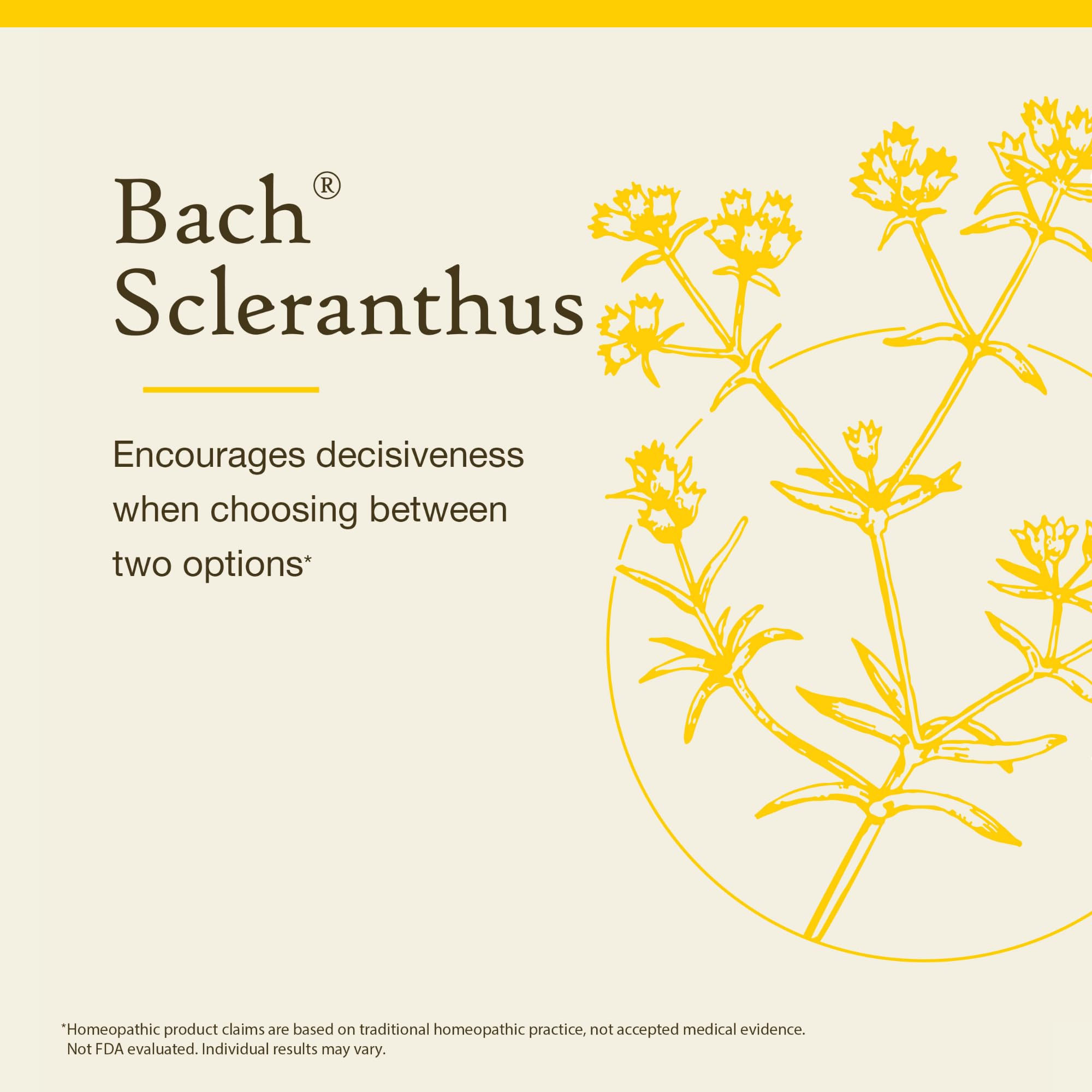 Bach Flower Remedies gotas sobre fondo claro, textura y pureza visual