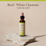 Bach White Chestnut junto a objeto cotidiano para comparar tamaño práctico