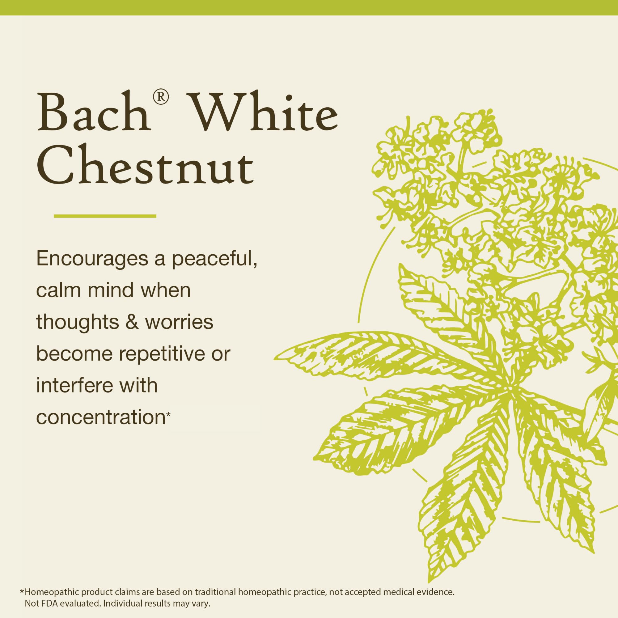 Bach White Chestnut gota de esencia entexura natural que sugiere pureza