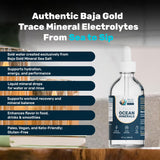 Baja Gold detalle del gotero para dosificación precisa y práctica