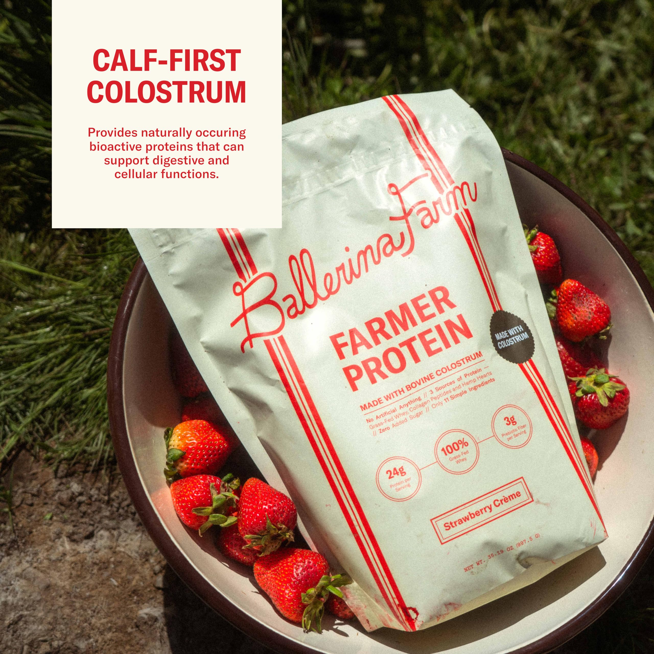 Ballerina Farm bolsa en mano para comparar tamaño y servir 20 porciones