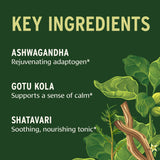 Banyan Botanicals raíz de ashwagandha representada como ingrediente clave
