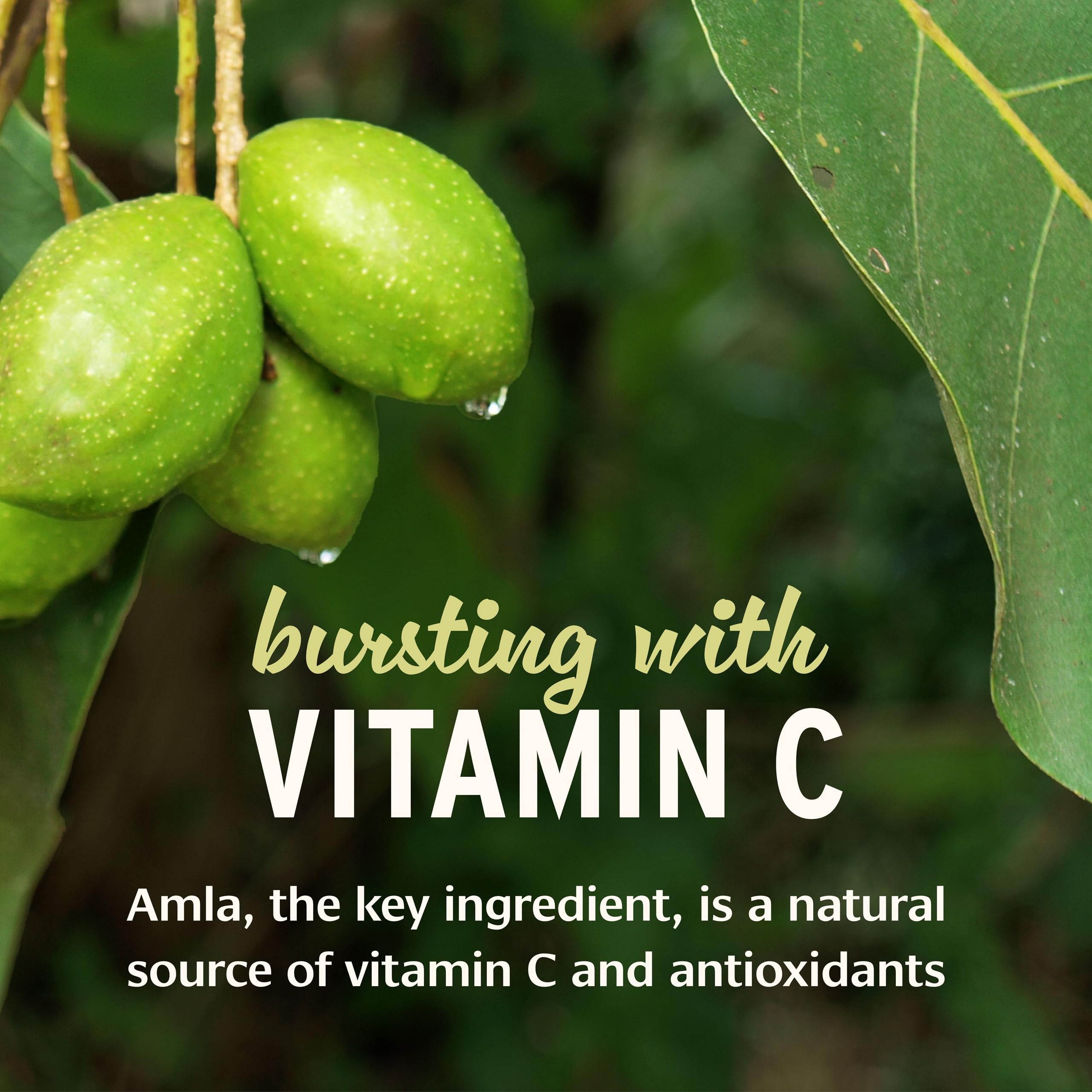 Banyan Botanicals amla fresca junto al frasco, destacando vitamina C natural