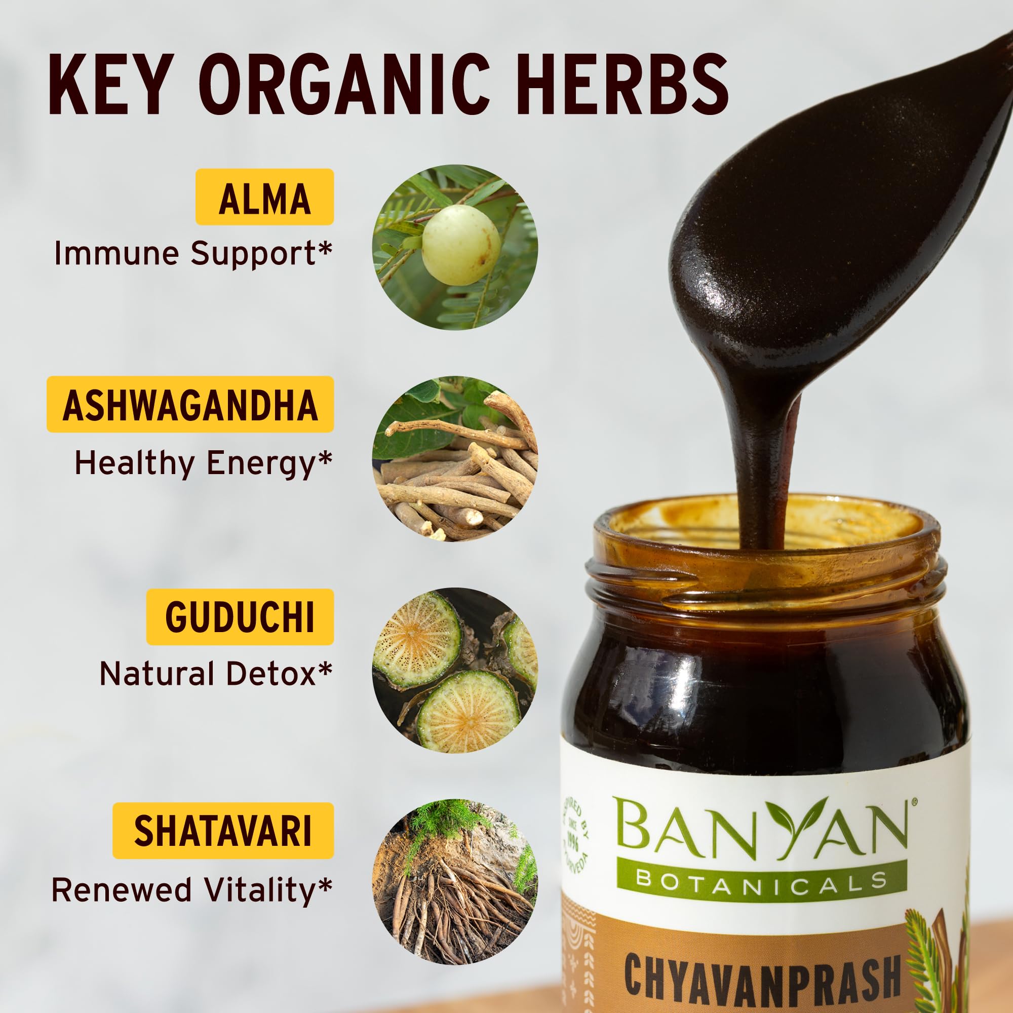 Banyan Botanicals textura en cuchara que muestra consistencia y facilidad de consumo