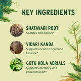 Banyan Botanicals comparación de tamaño con mano para referencia