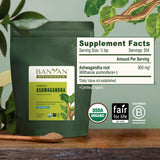 Banyan Botanicals polvo mezclado en taza de moon milk para relajación nocturna