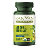 Banyan Botanicals envase frontal mostrando diseño y cantidad 90 tabletas