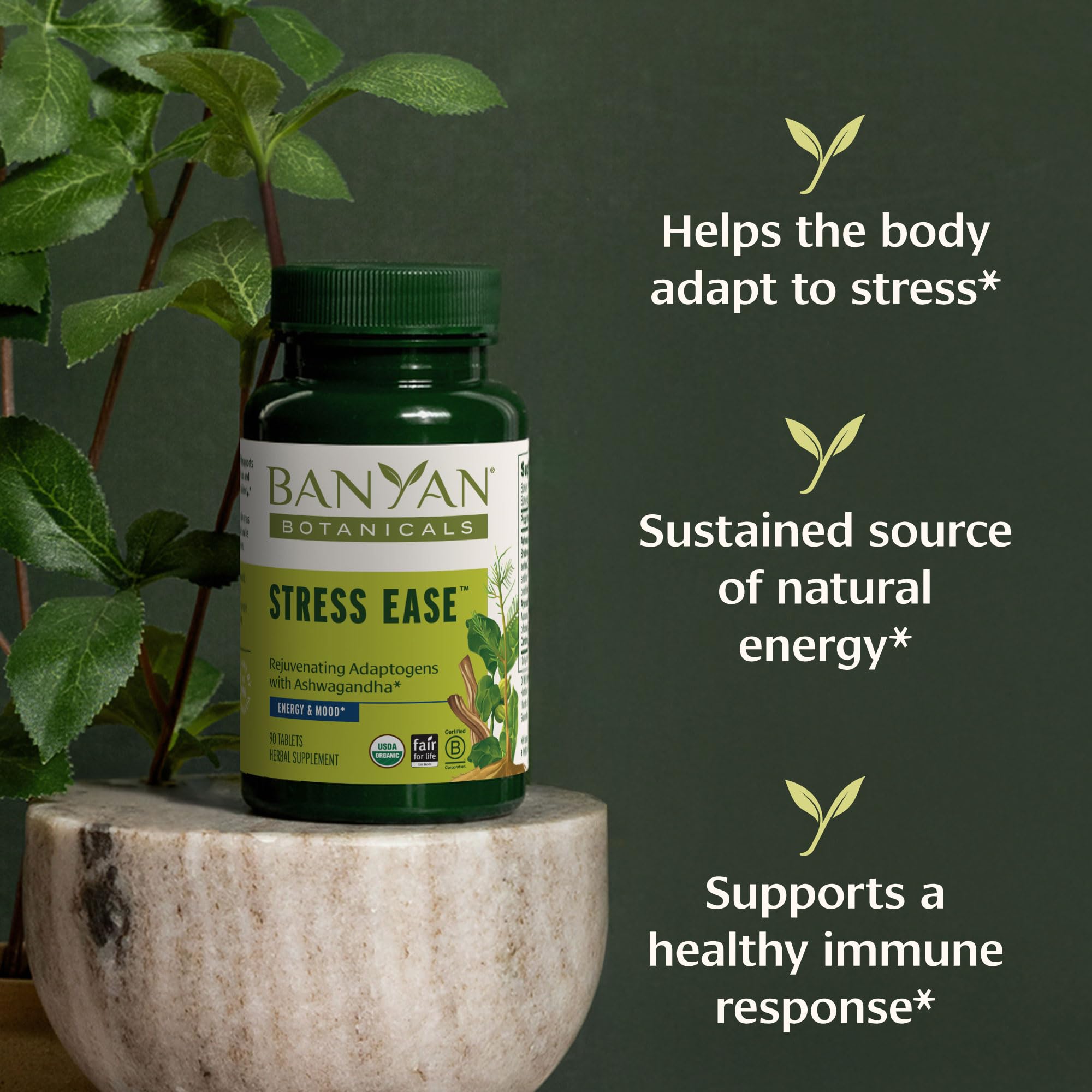 Banyan Botanicals detalle de etiqueta con lista de ingredientes orgánicos