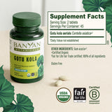 Banyan Botanicals tabletas sobre un escritorio con cuaderno para enfoque laboral