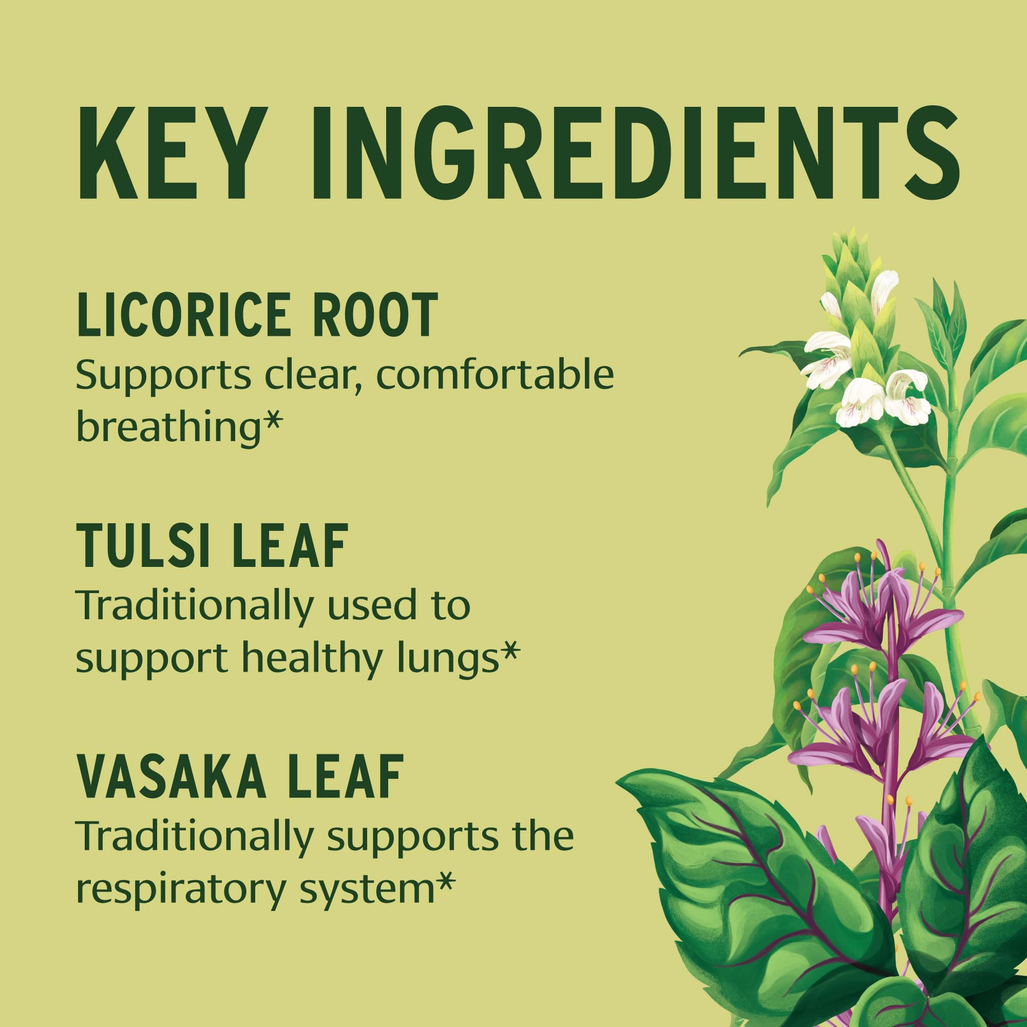 Banyan Botanicals ingredientes licorice tulsi y elecampana mostrando origen orgánico