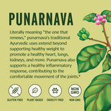 Banyan Botanicals infusión de Punarnava en taza para consumo diario reconfortante