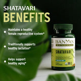 Banyan Botanicals etiqueta con certificaciones USDA Organic y Non-GMO visibles