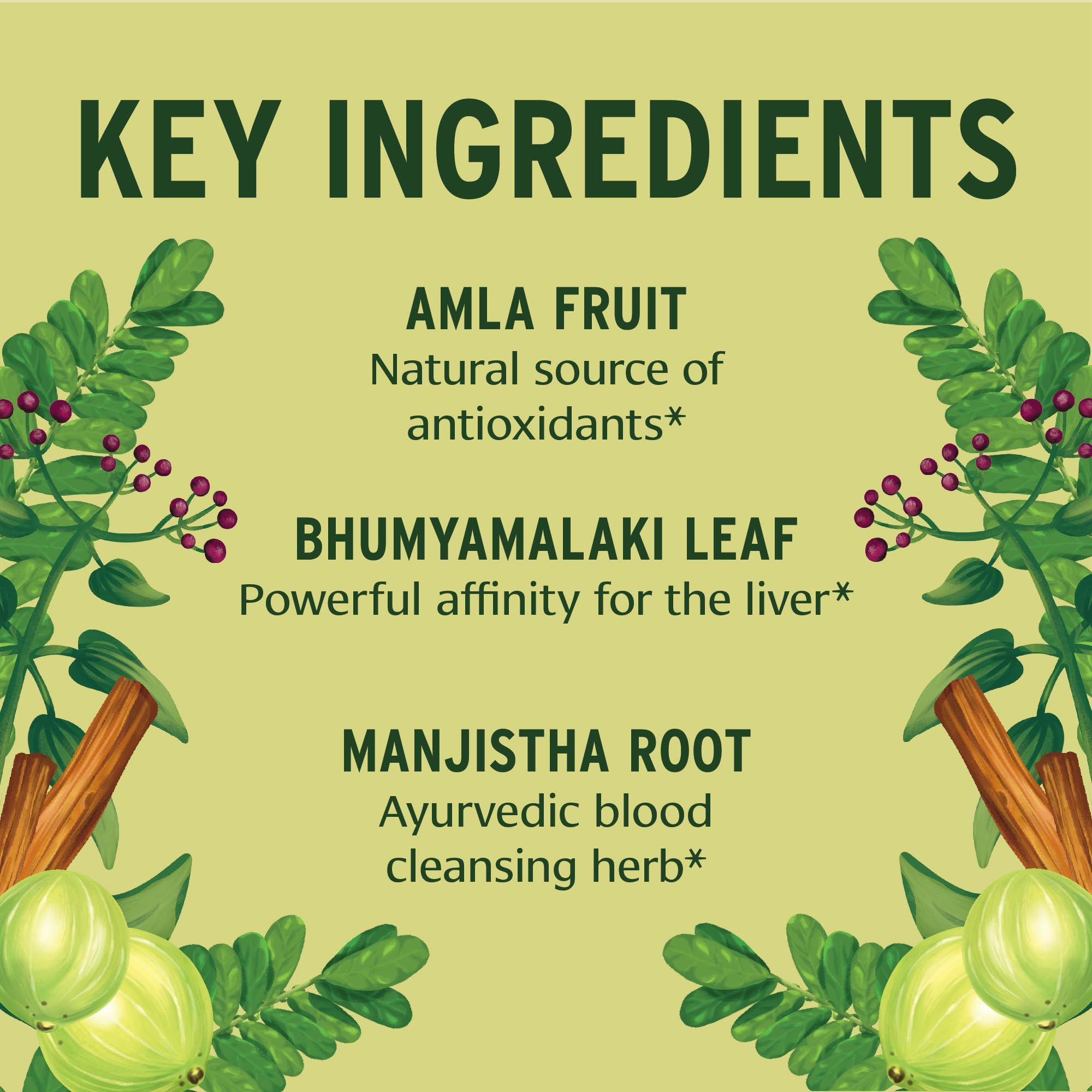 Banyan Botanicals tableta en mano para comparar tamaño y dosificación práctica