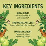 Banyan Botanicals tableta en mano para comparar tamaño y dosificación práctica