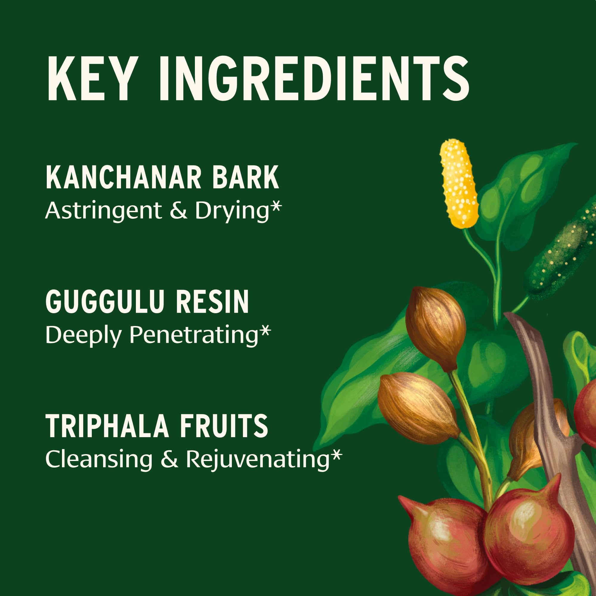 Banyan Botanicals tabletas en mano para comparar tamaño y dosificación práctica