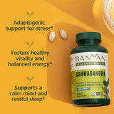 Primer plano de tabletas prensadas Banyan Botanicals resaltando pureza y sin rellenos