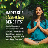Banyan Botanicals Haritaki infusionado en taza, preparación cálida y digestiva