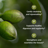 Banyan Botanicals Haritaki polvo de grano fino visto de cerca, textura para mezclar fácil