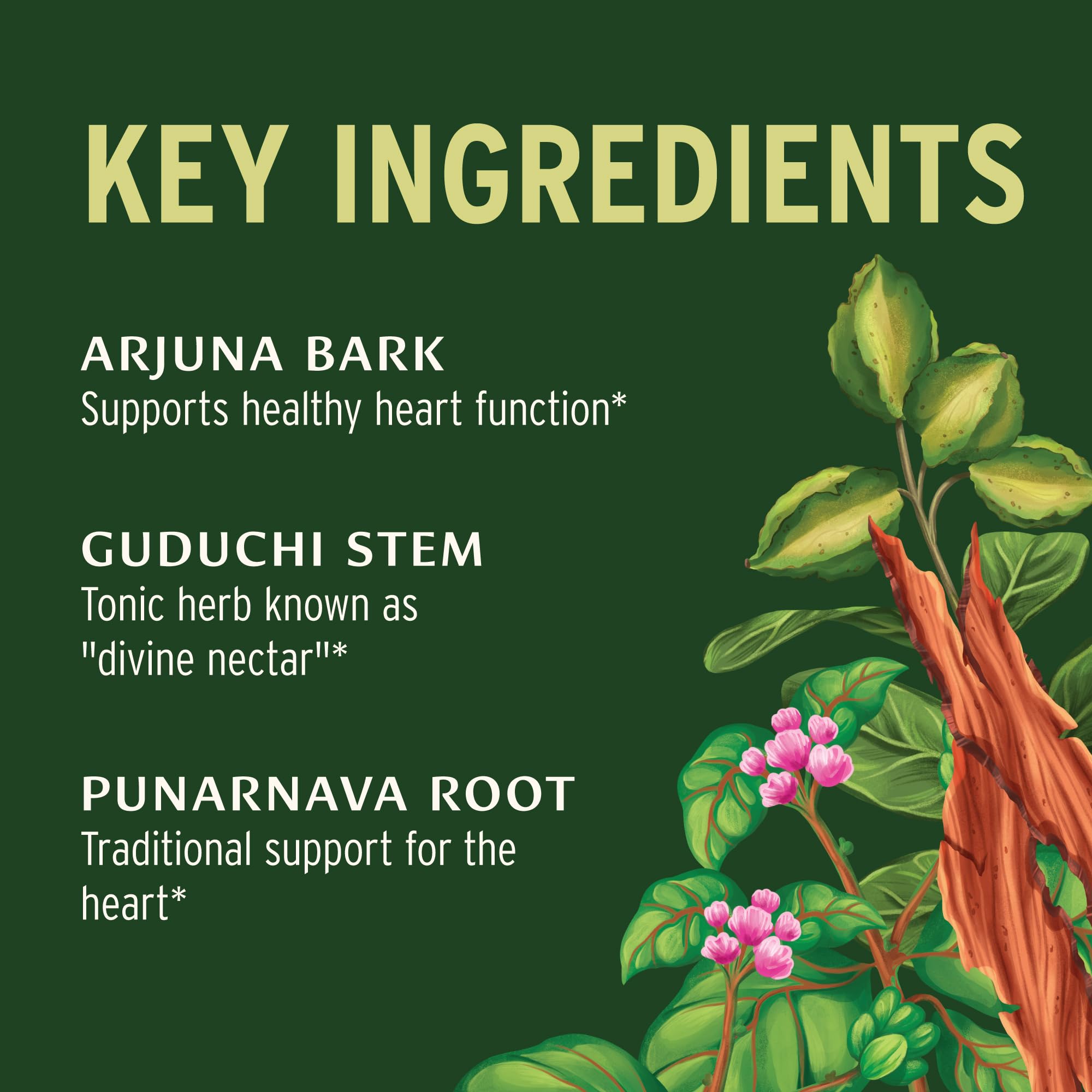 Banyan Botanicals tabletas Heart Formula en la mano demostrando tamaño y conveniencia
