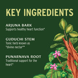 Banyan Botanicals tabletas Heart Formula en la mano demostrando tamaño y conveniencia