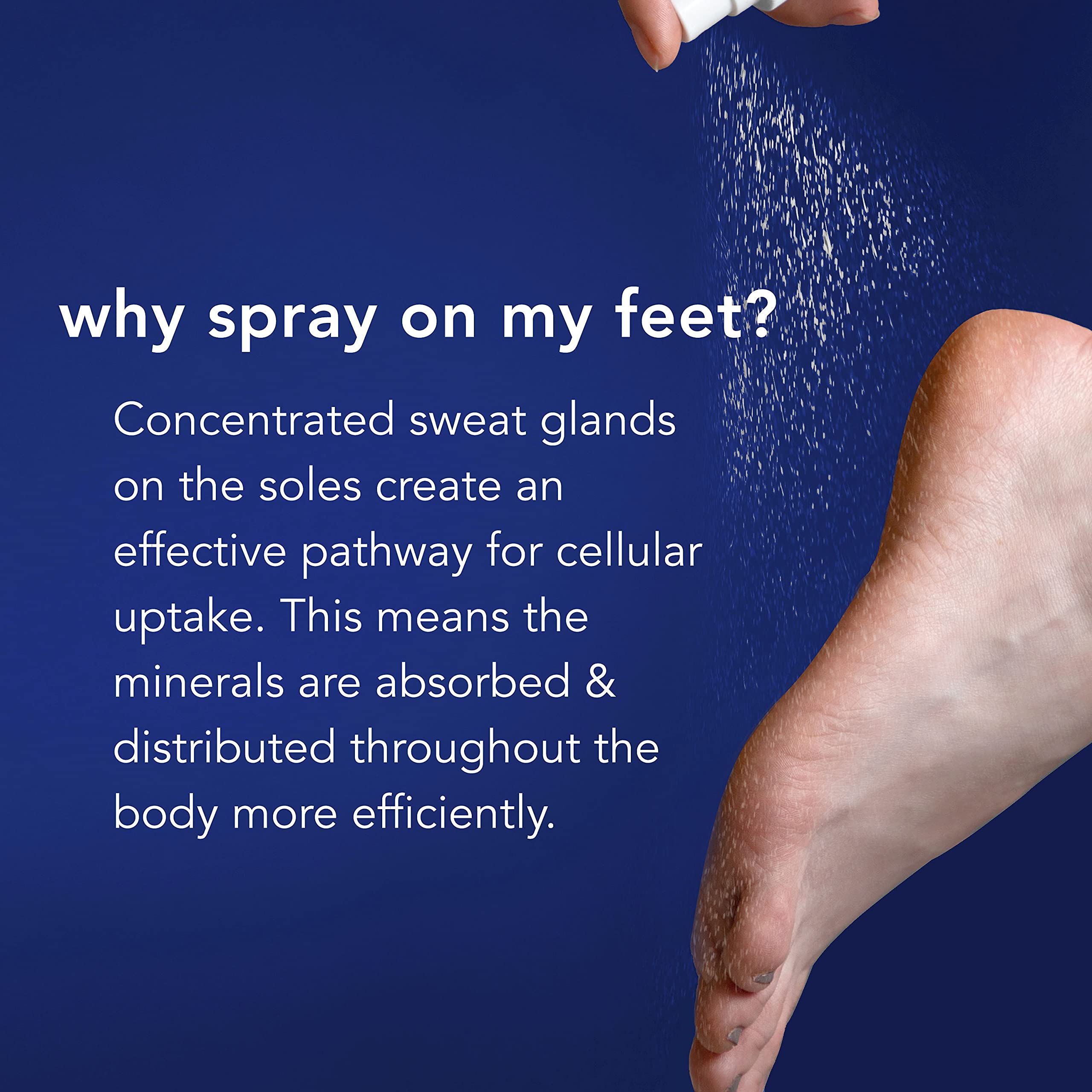 Barefoot Scientist etiqueta con lista de ingredientes y beneficios, transparencia de fórmula
