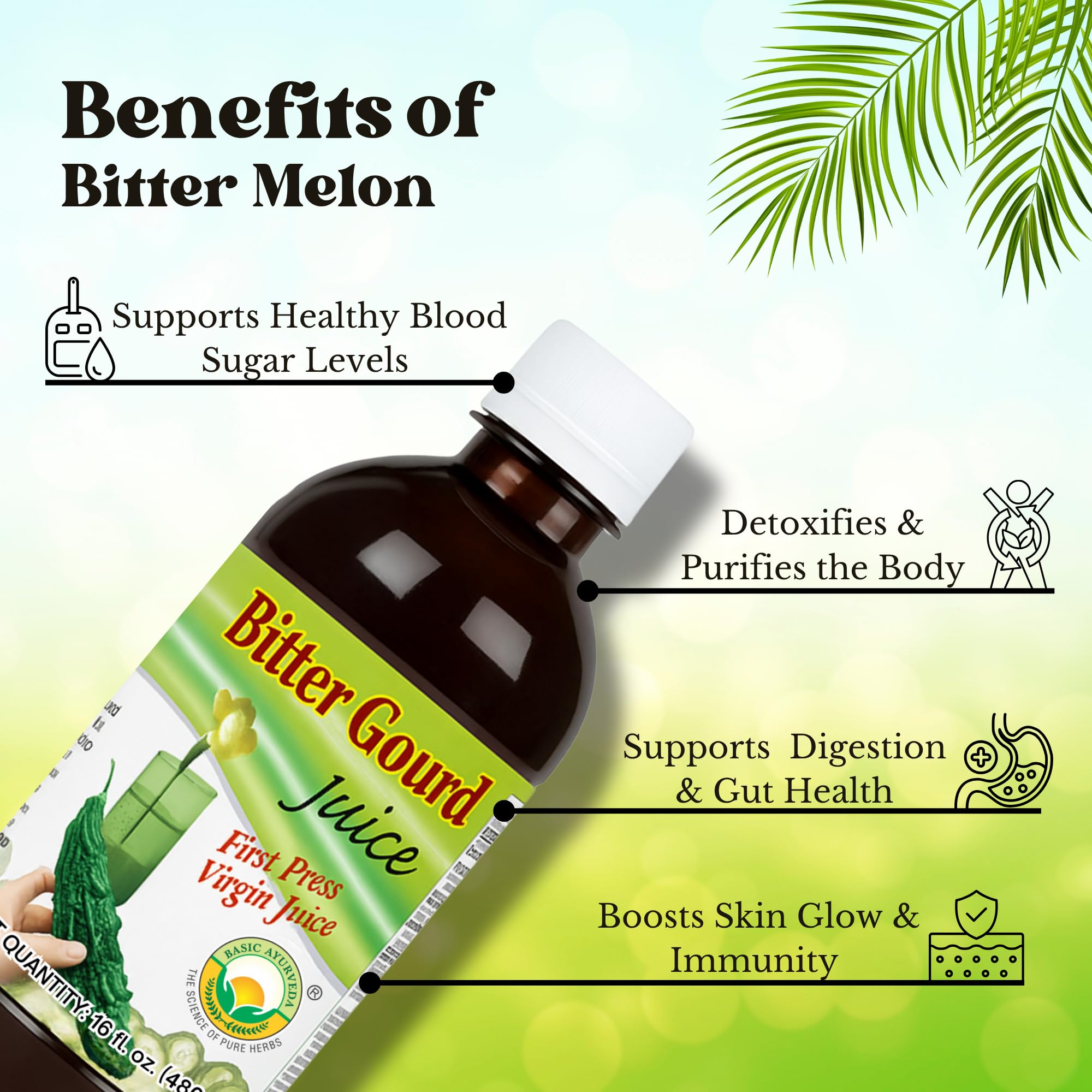 Basic Ayurveda botella en mano para comparar tamaño y uso práctico