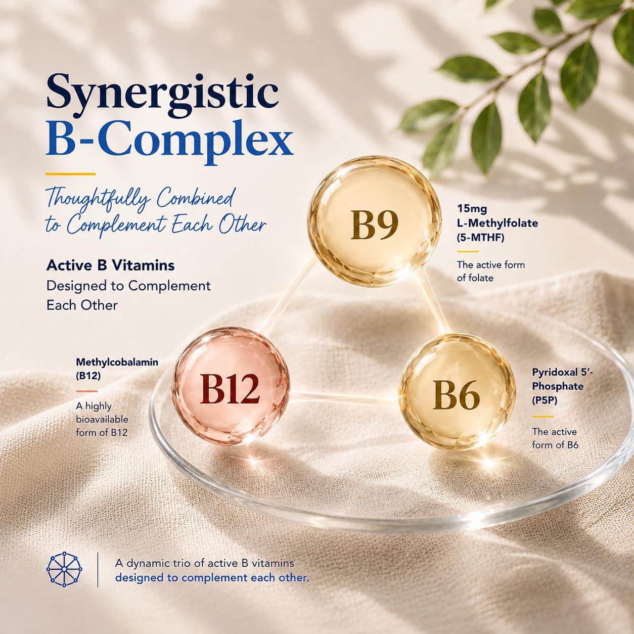 Basigano etiqueta composición indica 15 mg 5-MTHF y vitaminas B