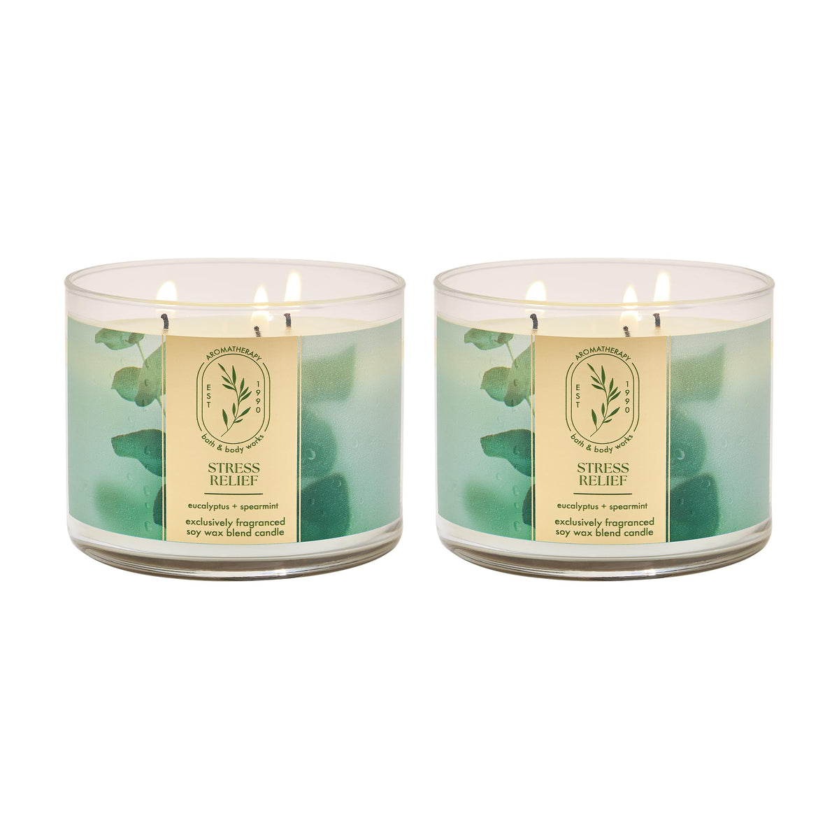 Bath & Body Works vela frontal mostrando etiqueta y diseño, transmite frescura