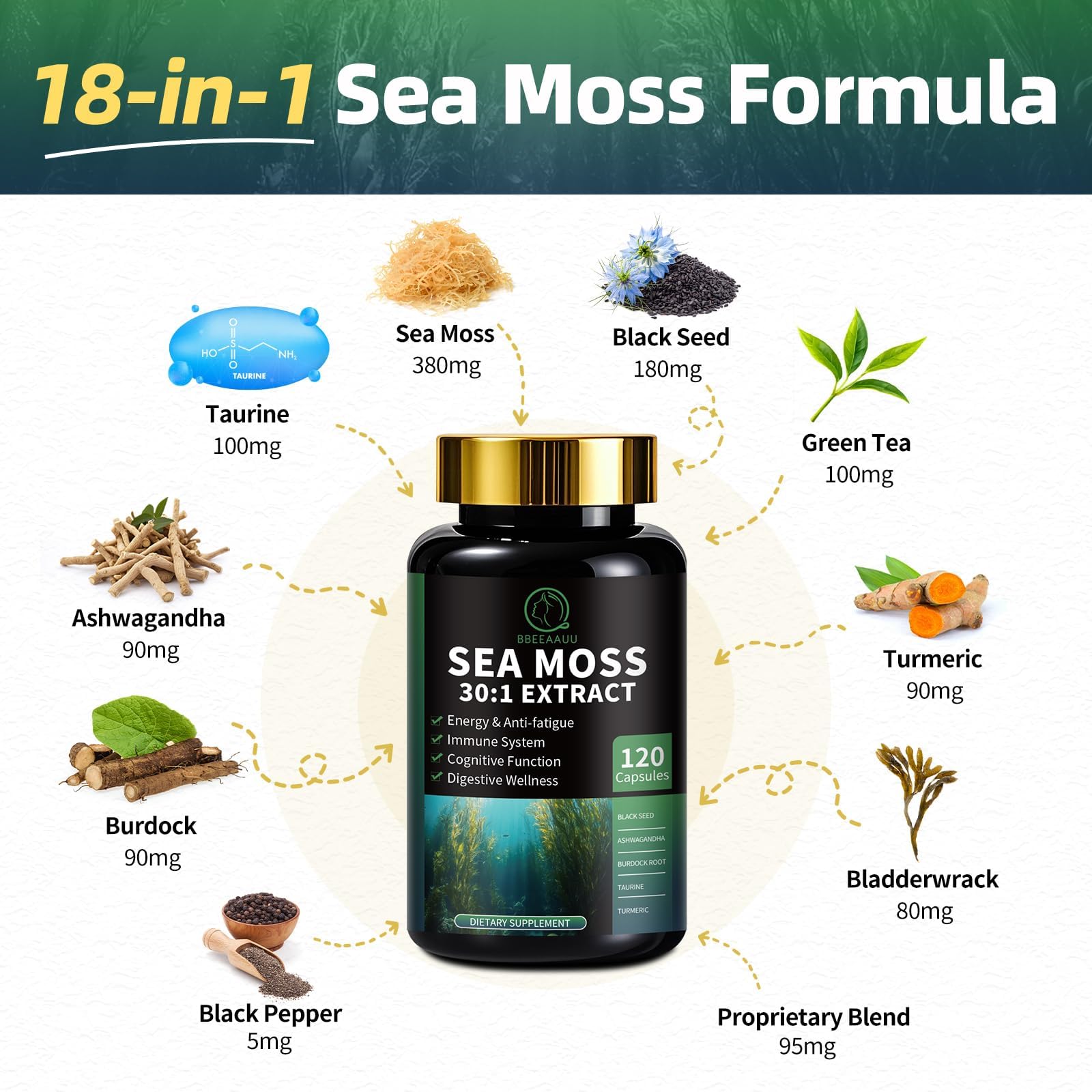 BBEEAAUU vista cercana de sea moss y hierbas complementarias para soporte