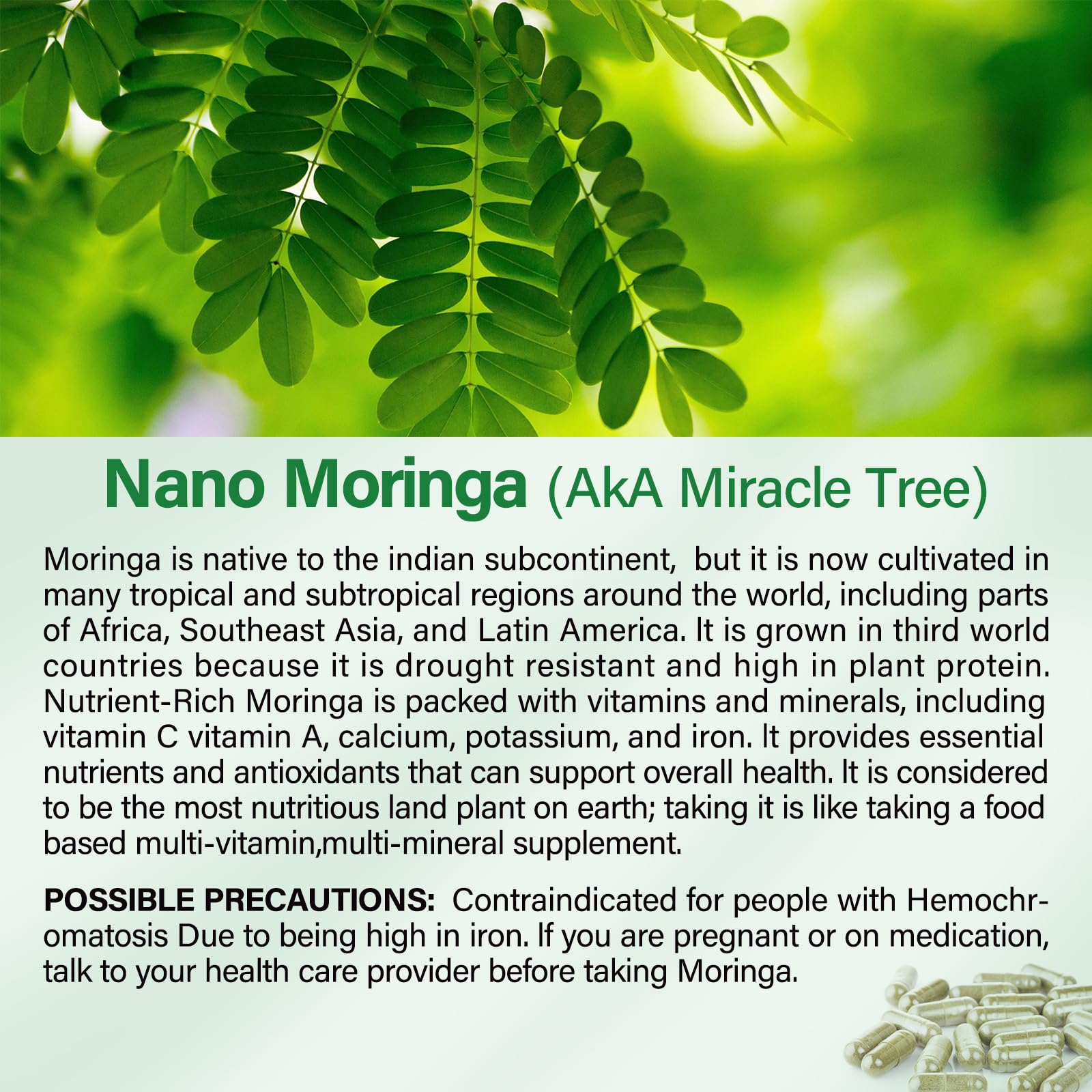 Bcuelov polvo de moringa textura de hoja para aporte nutritivo