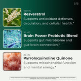 BEACON ELEMENTS Lion’s Mane en foco para apoyo neuronal natural
