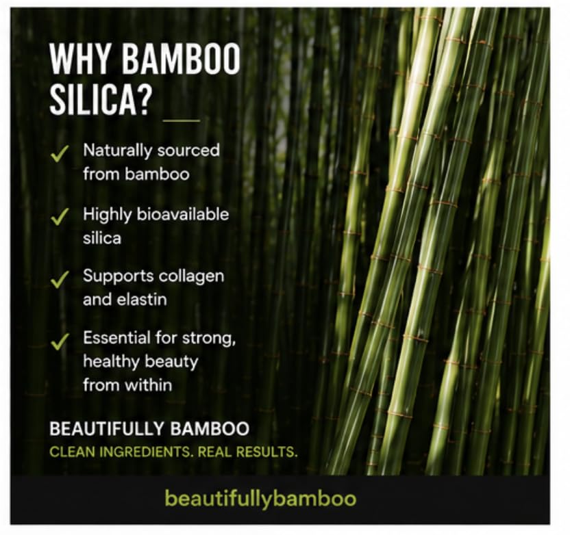 Beautifully Bamboo comparación de tamaño junto a objetos cotidianos, referencia de escala