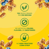 belVita primer plano de arándanos en el bocado, toque frutal natural