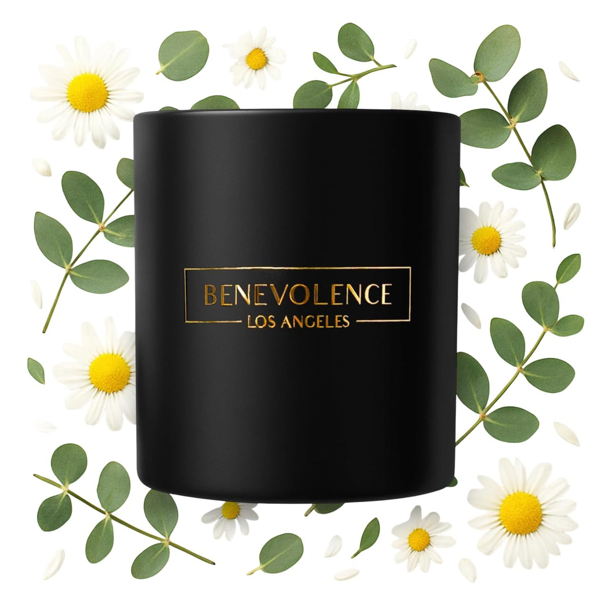Benevolence LA vela frontal en vidrio negro mate, elegante para decoración