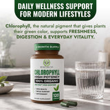 Cápsula Benevolent Nourishment en mano mostrando tamaño y dosificación cómoda