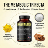 Berberine Mojo tabletas en mano para visualizar tamaño fácil de tragar