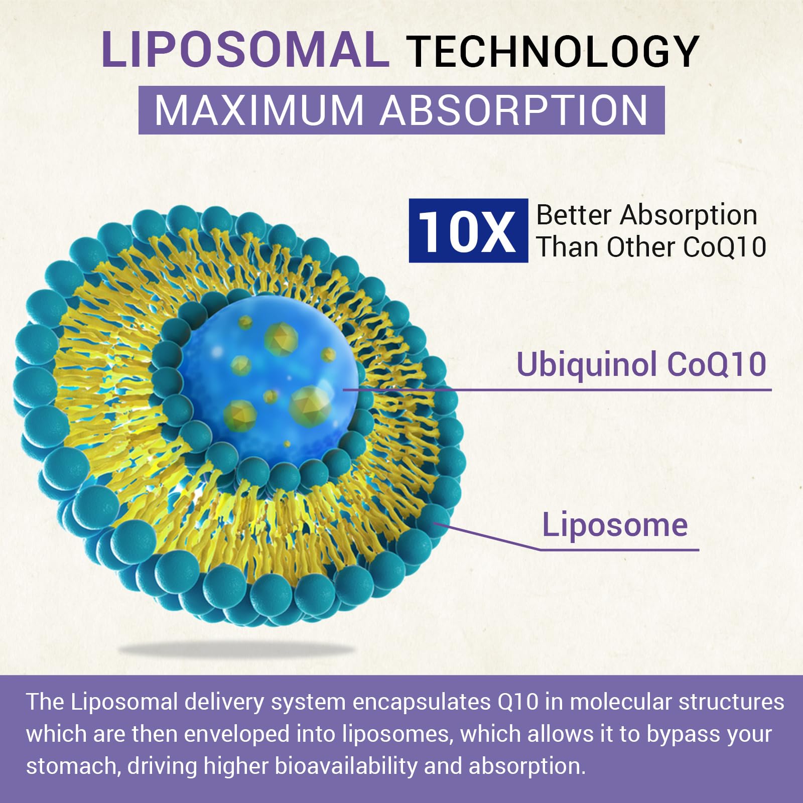 Besibest softgel en mano ilustrando tamaño cómodo y dosis concentrada