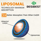 Ilustración de liposomas Besibest explicando mejor absorción celular