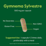 BESTVITE hojas de Gymnema Sylvestre para mostrar origen botánico natural